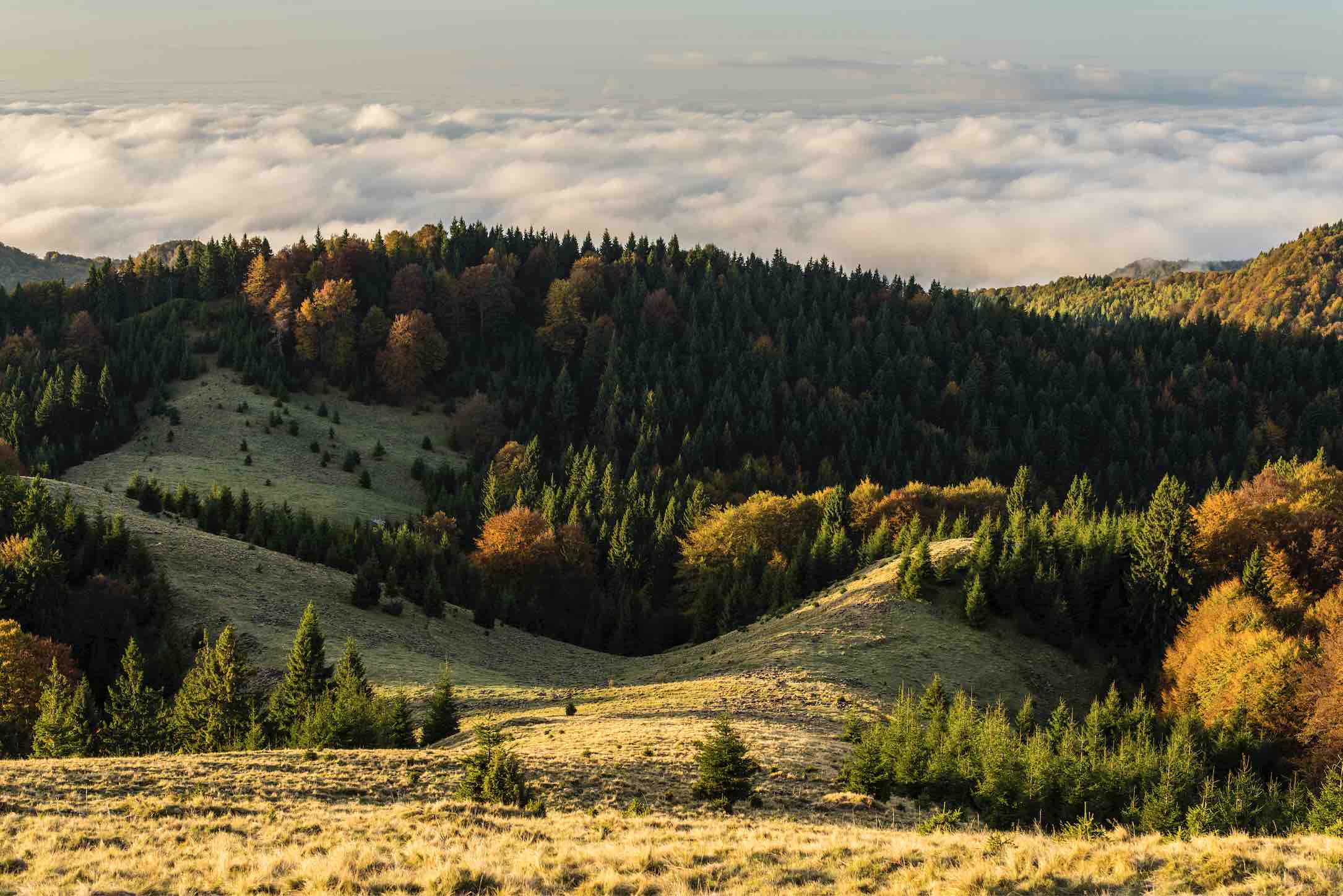 Natura ca facilitator: spațiul care învață fără să vorbească